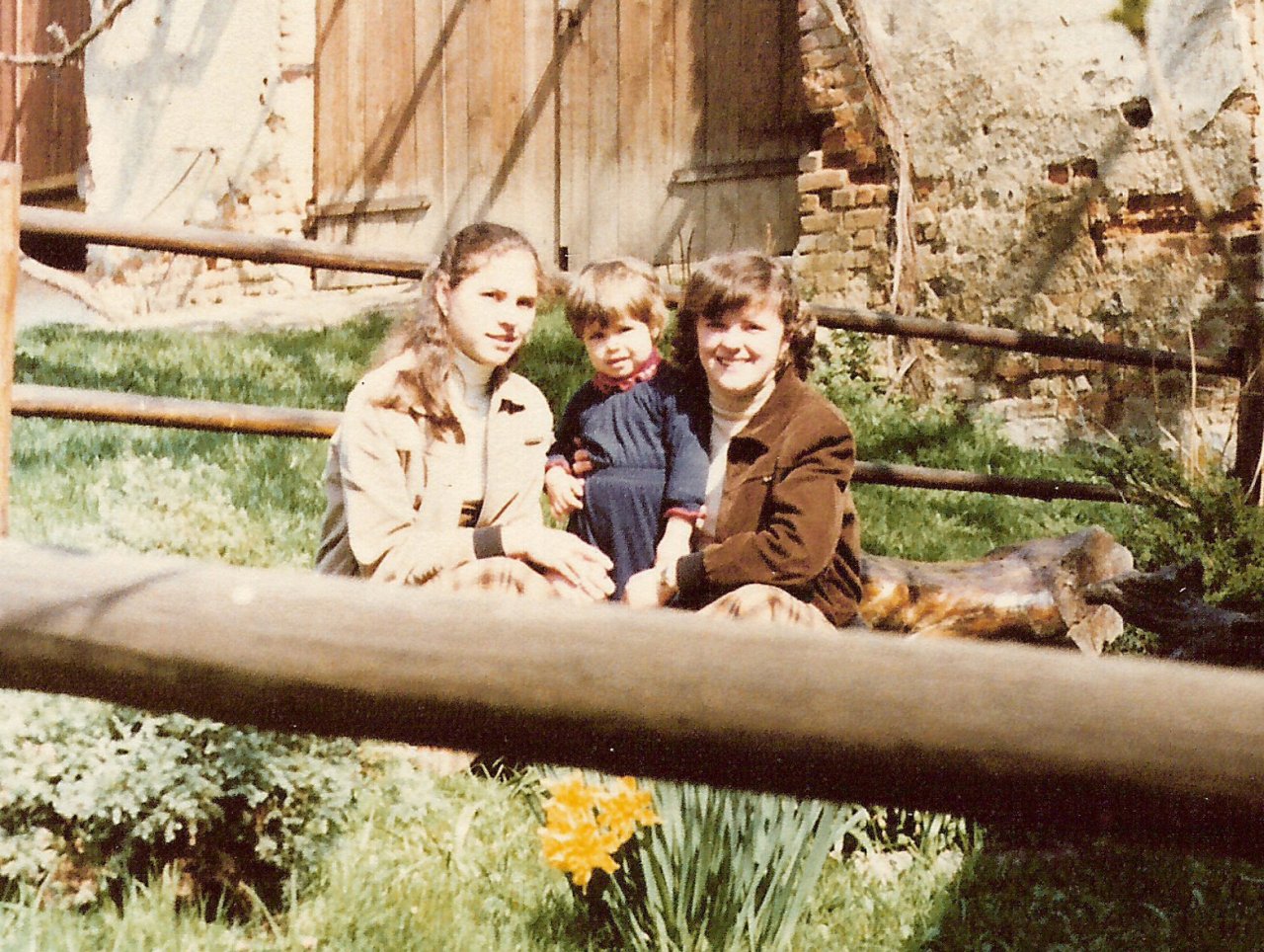 Mladi so pokazatelj, kam gre družba