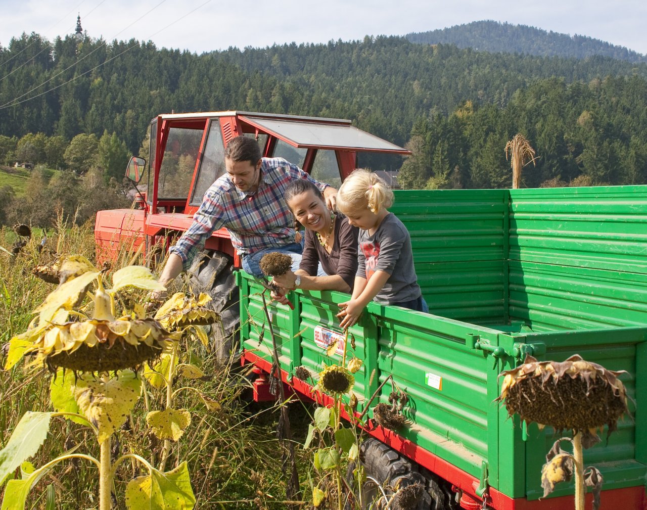 Mladi so pokazatelj, kam gre družba